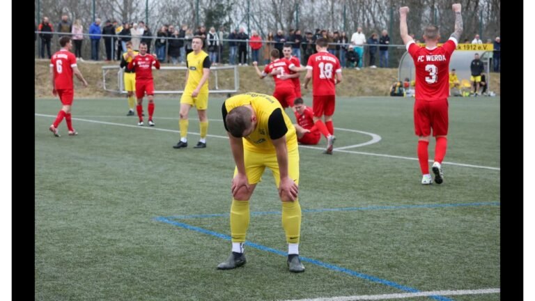 fußball vogtlandliga männer